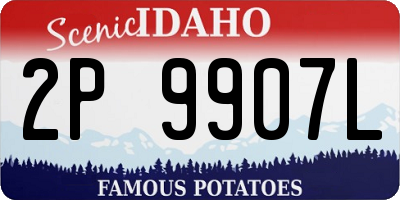 ID license plate 2P9907L