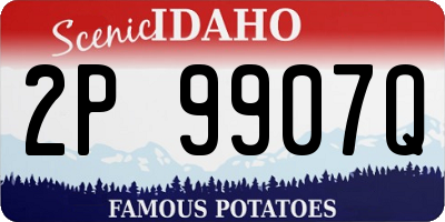 ID license plate 2P9907Q