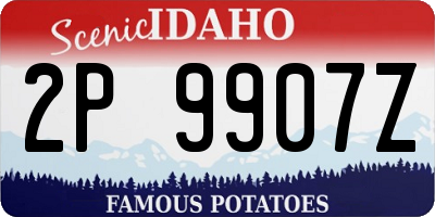 ID license plate 2P9907Z