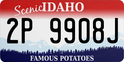 ID license plate 2P9908J