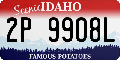 ID license plate 2P9908L