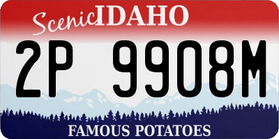 ID license plate 2P9908M