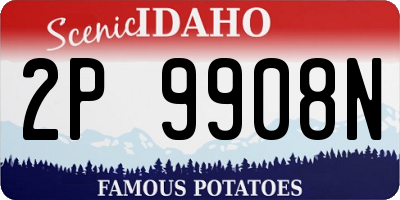 ID license plate 2P9908N