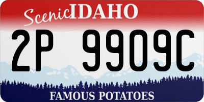 ID license plate 2P9909C