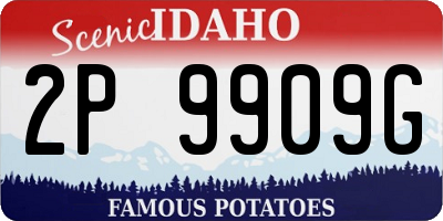ID license plate 2P9909G