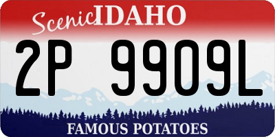 ID license plate 2P9909L