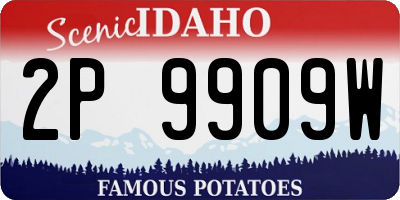 ID license plate 2P9909W