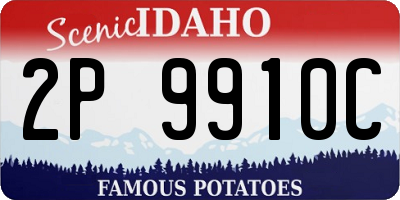 ID license plate 2P9910C