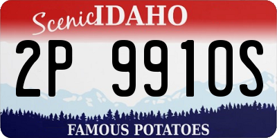 ID license plate 2P9910S