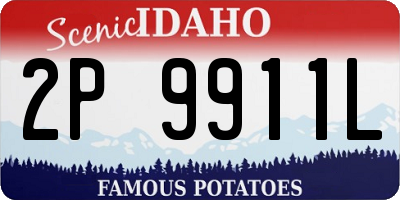 ID license plate 2P9911L