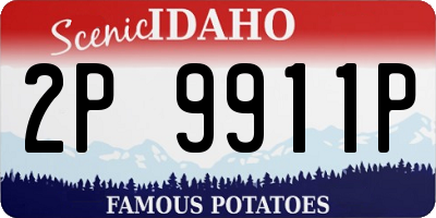 ID license plate 2P9911P