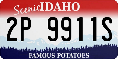 ID license plate 2P9911S
