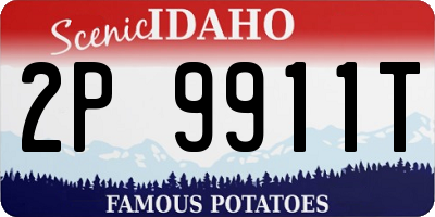 ID license plate 2P9911T
