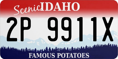 ID license plate 2P9911X