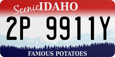 ID license plate 2P9911Y