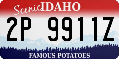 ID license plate 2P9911Z
