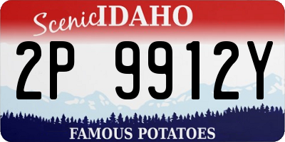 ID license plate 2P9912Y