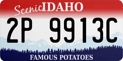 ID license plate 2P9913C