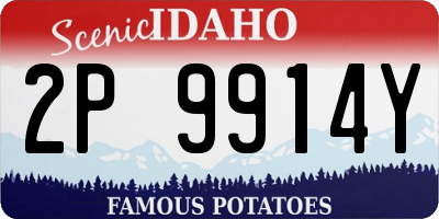 ID license plate 2P9914Y