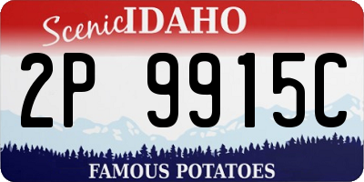 ID license plate 2P9915C