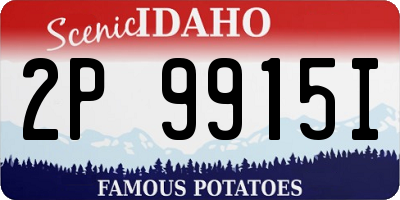 ID license plate 2P9915I