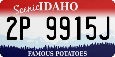 ID license plate 2P9915J