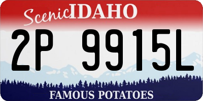 ID license plate 2P9915L