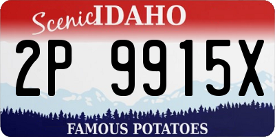 ID license plate 2P9915X