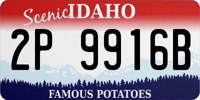 ID license plate 2P9916B