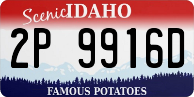 ID license plate 2P9916D