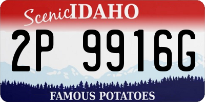 ID license plate 2P9916G