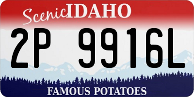 ID license plate 2P9916L