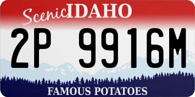 ID license plate 2P9916M