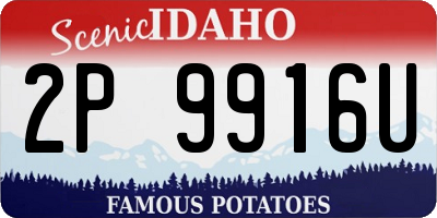 ID license plate 2P9916U