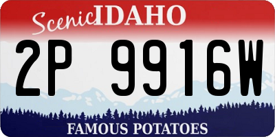 ID license plate 2P9916W