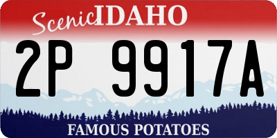 ID license plate 2P9917A