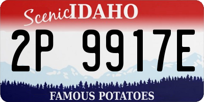 ID license plate 2P9917E