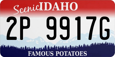 ID license plate 2P9917G