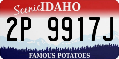 ID license plate 2P9917J