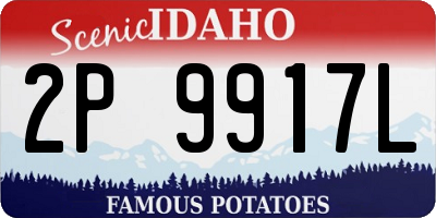 ID license plate 2P9917L