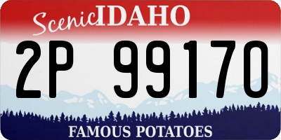 ID license plate 2P9917O