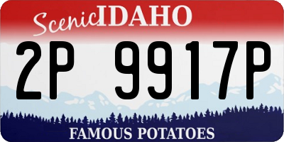 ID license plate 2P9917P