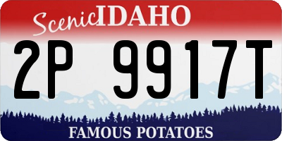 ID license plate 2P9917T