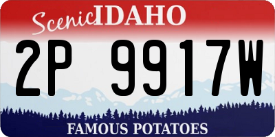 ID license plate 2P9917W