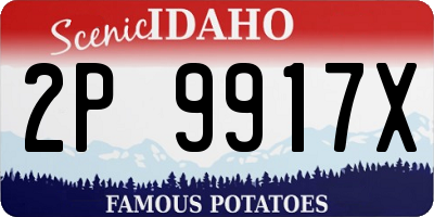 ID license plate 2P9917X
