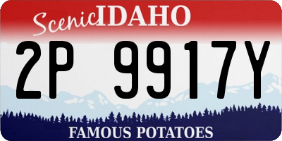ID license plate 2P9917Y