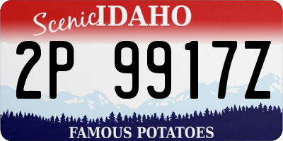 ID license plate 2P9917Z