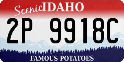 ID license plate 2P9918C