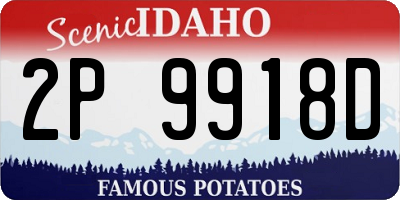 ID license plate 2P9918D