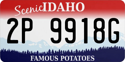 ID license plate 2P9918G